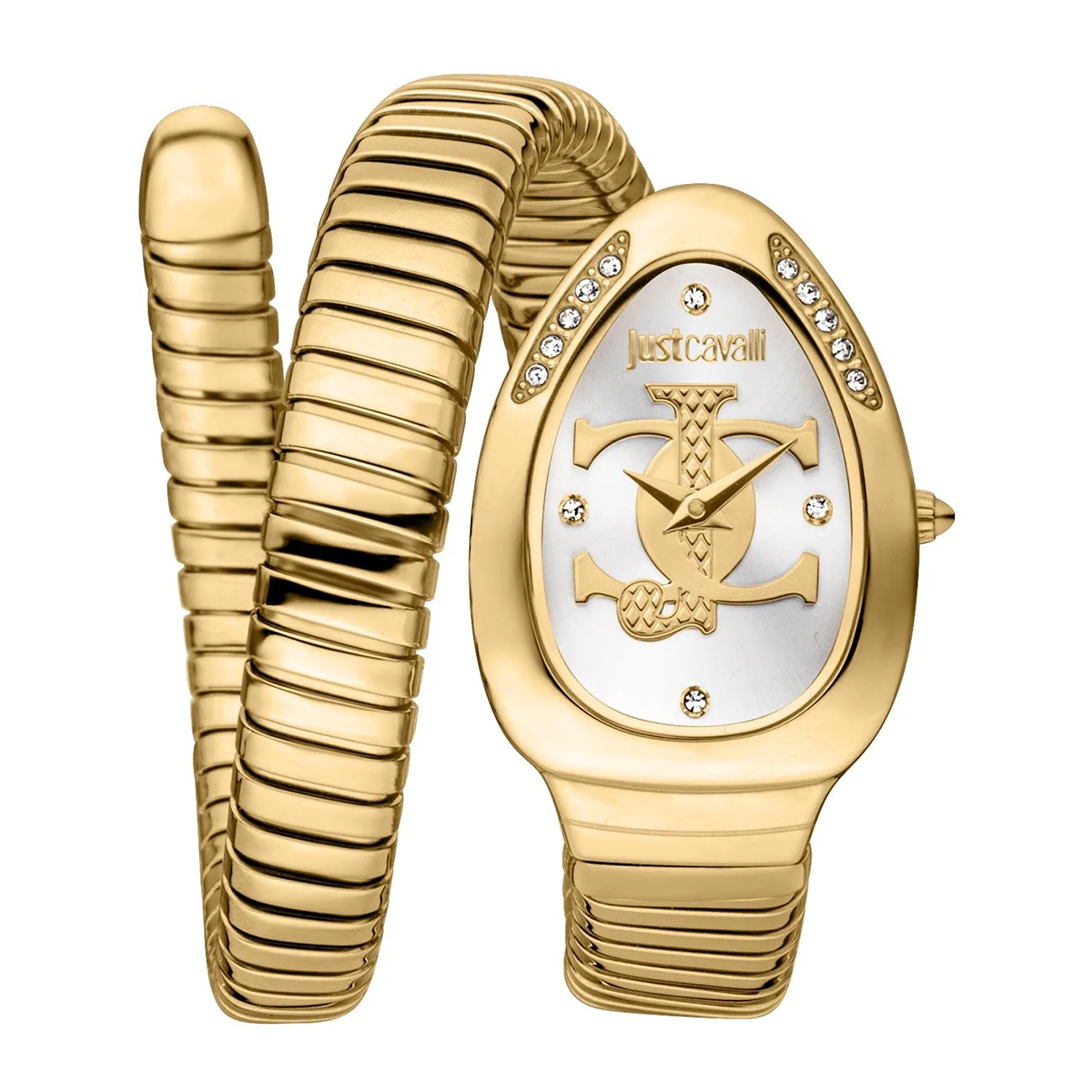 MONTRE JUST CAVALI FEMME ACIER